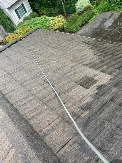Roofing Repairs project photo 4
