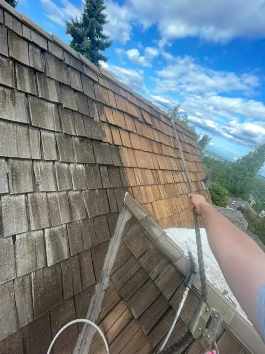 Roofing Repairs project photo 21