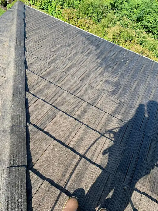 Roofing Replacement project photo 4