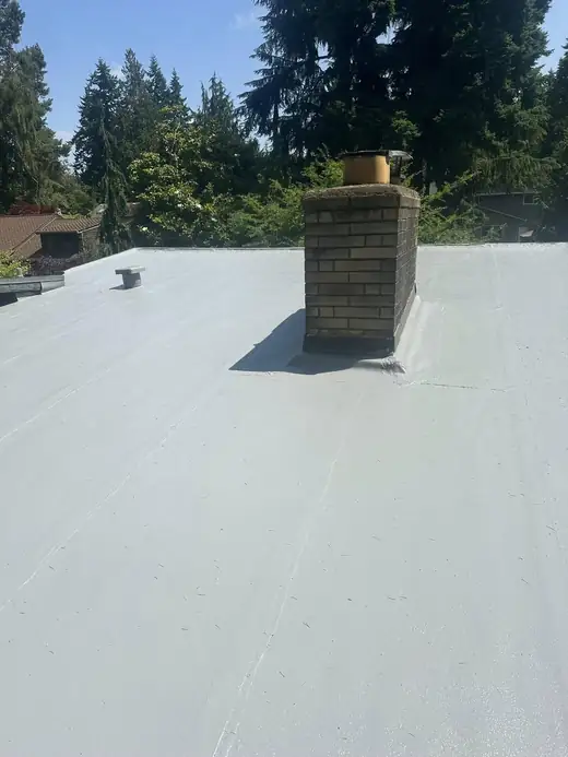 Roofing Replacement project photo 8