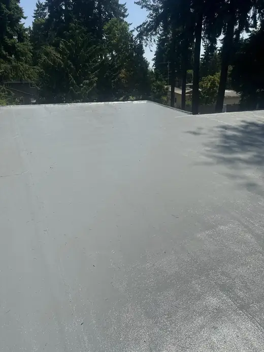 Roofing Replacement project photo 9