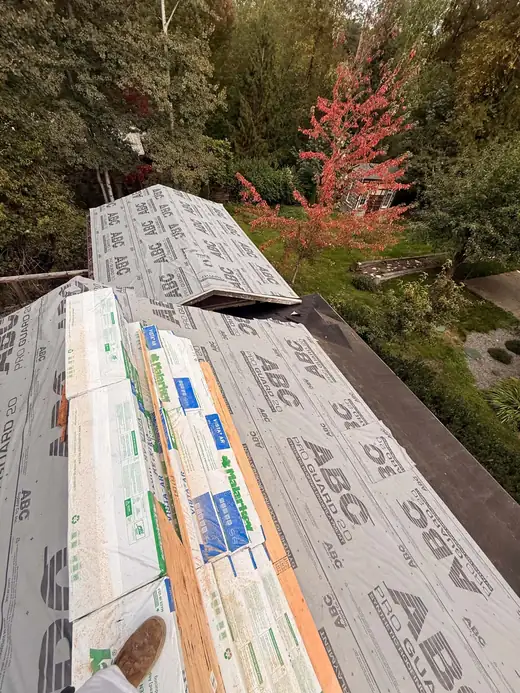 Roofing Replacement project photo 46