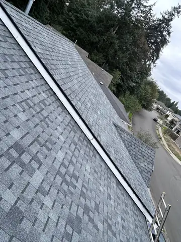 Steep new shingle roof edge with ladder