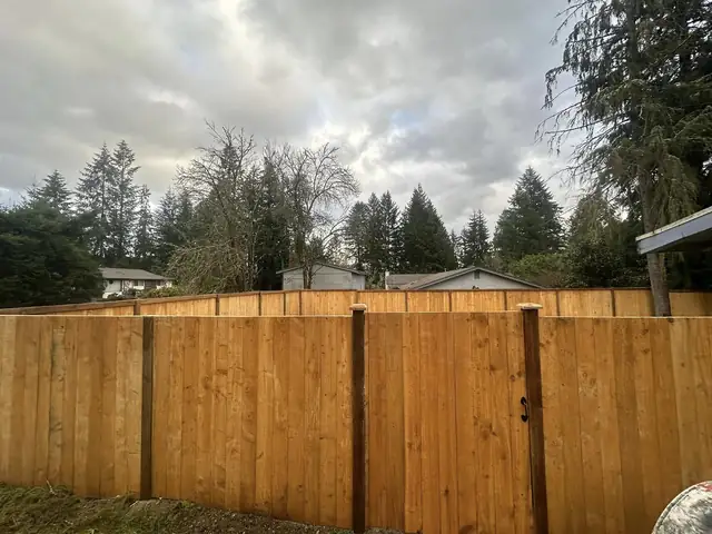Long new cedar fence across a backyard